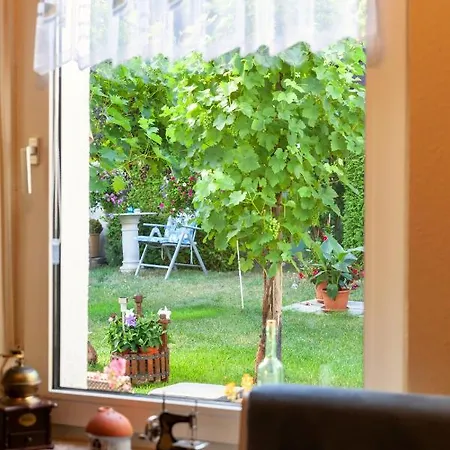 Apartamento Emmi